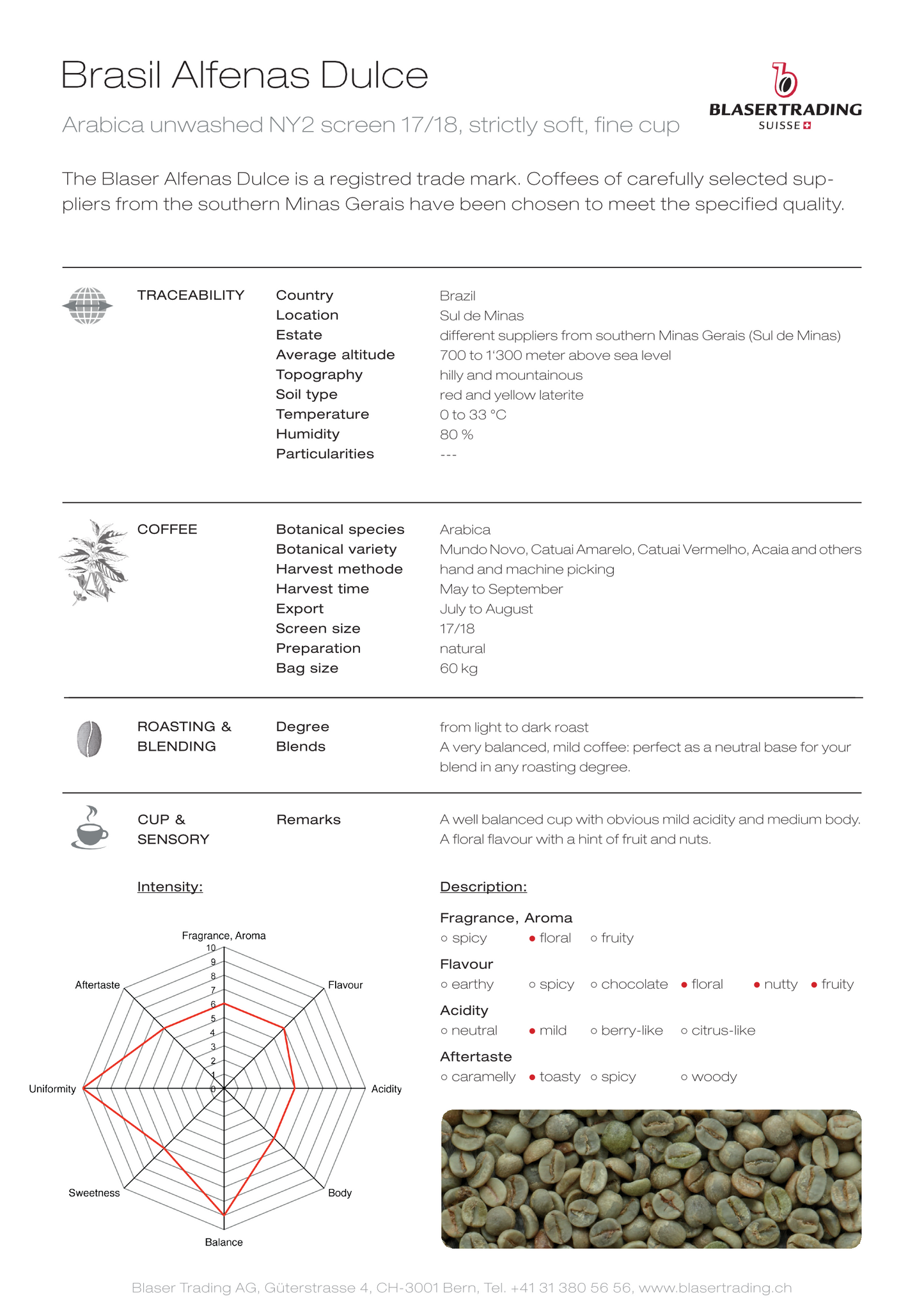 Brésil - Arabica