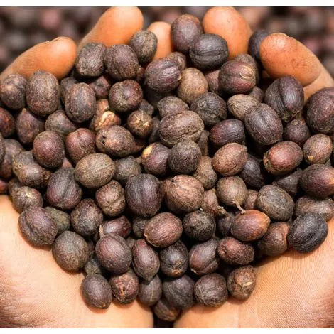 ETHIOPIE GUJI WUBANCHI
